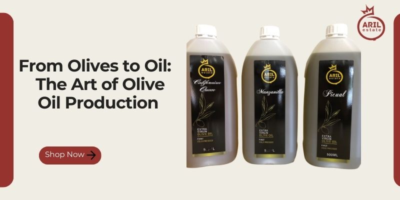 From Olives to Oil: The Art of Olive Oil Production